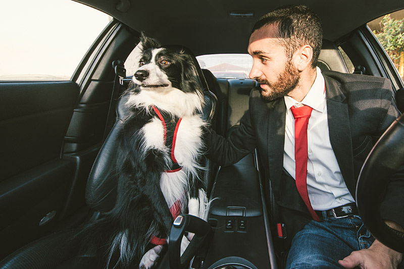 Eskişehir Pet Nakil, Taksi ve Kargo