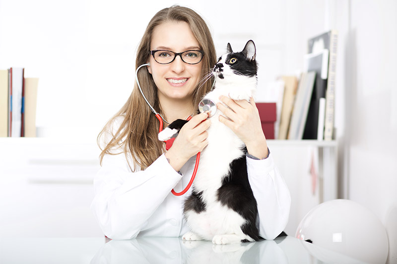 Eskişehir Veteriner Kliniği ve Hekimi